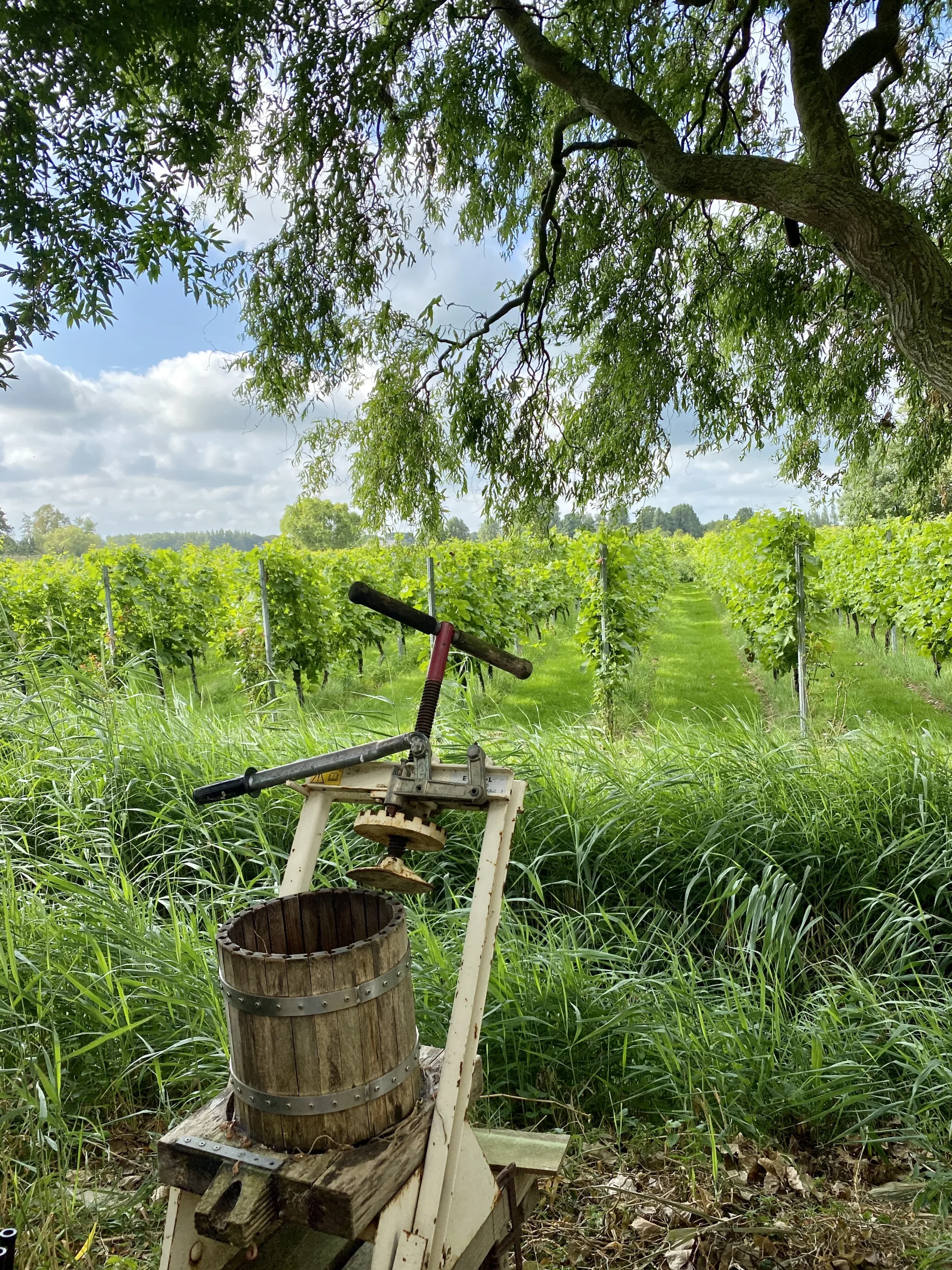 Fles Amsteltuin Brut Johannes I 2021 Nederlandse mousserende wijn uit Amstelveen